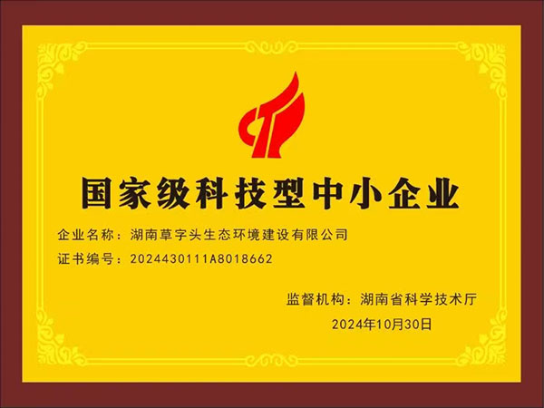 國家級科技型中小企業