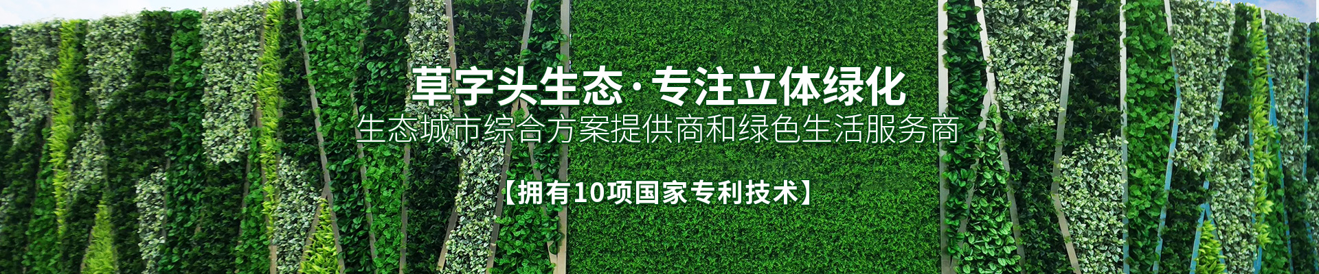 湖南草字頭生態環境建設有限公司|專注于生態修復和綠化環保事業 湖南草字頭生態環境建設有限公司|專注于生態修復和綠化環保事業