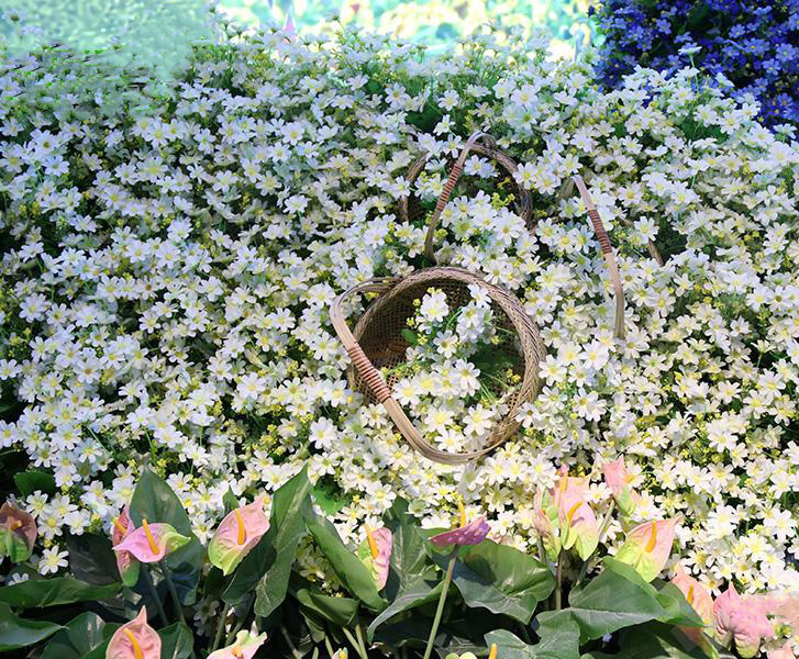 湖南草字頭生態環境建設有限公司,人造草坪假草皮,湖南雨水收集處理工藝 湖南草字頭生態環境建設有限公司,人造草坪假草皮,湖南雨水收集處理工藝