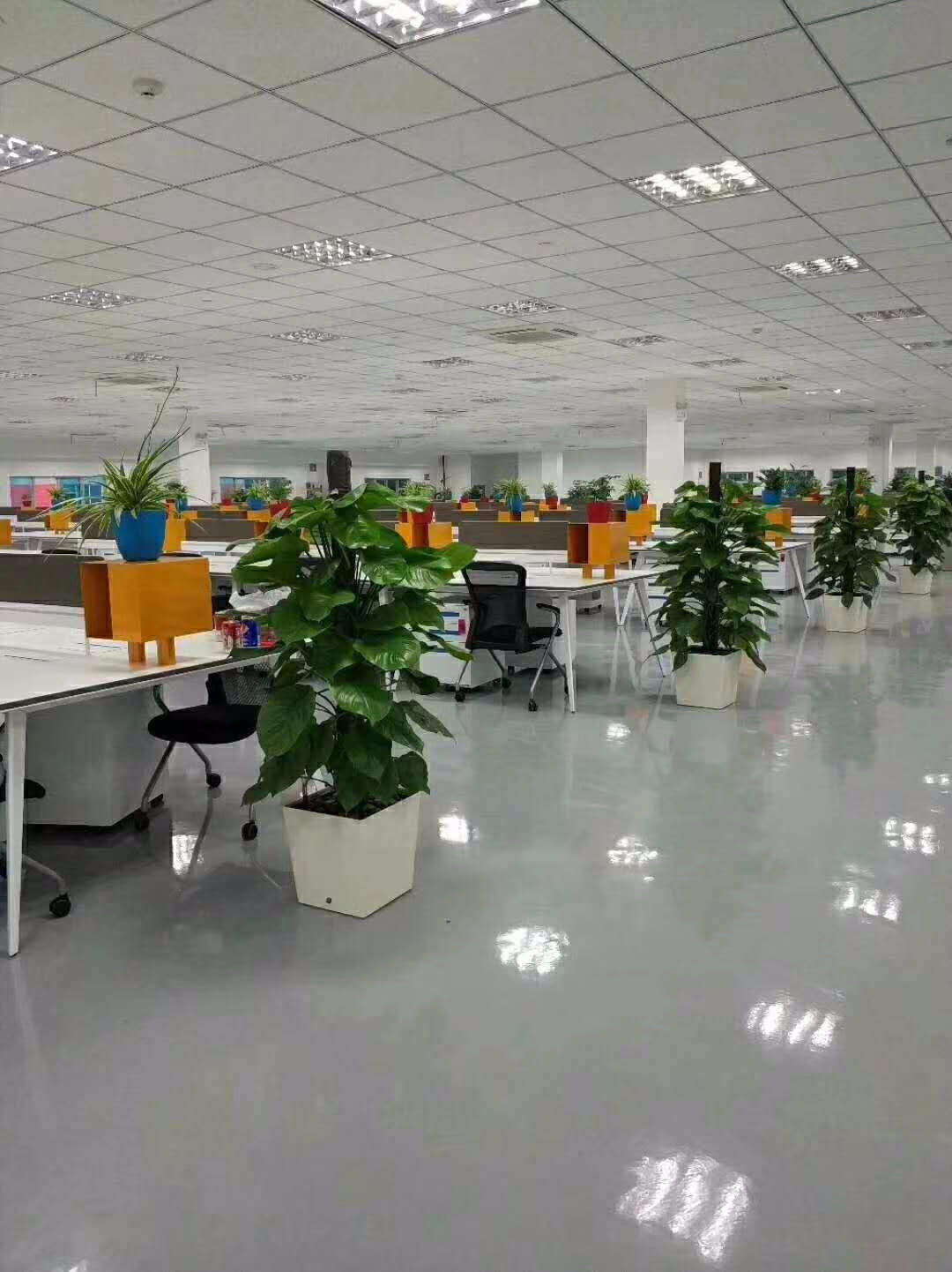 湖南草字頭生態環境建設有限公司,人造草坪假草皮,湖南雨水收集處理工藝 湖南草字頭生態環境建設有限公司,人造草坪假草皮,湖南雨水收集處理工藝