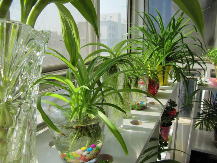 湖南草字頭生態環境建設有限公司,人造草坪假草皮,湖南雨水收集處理工藝