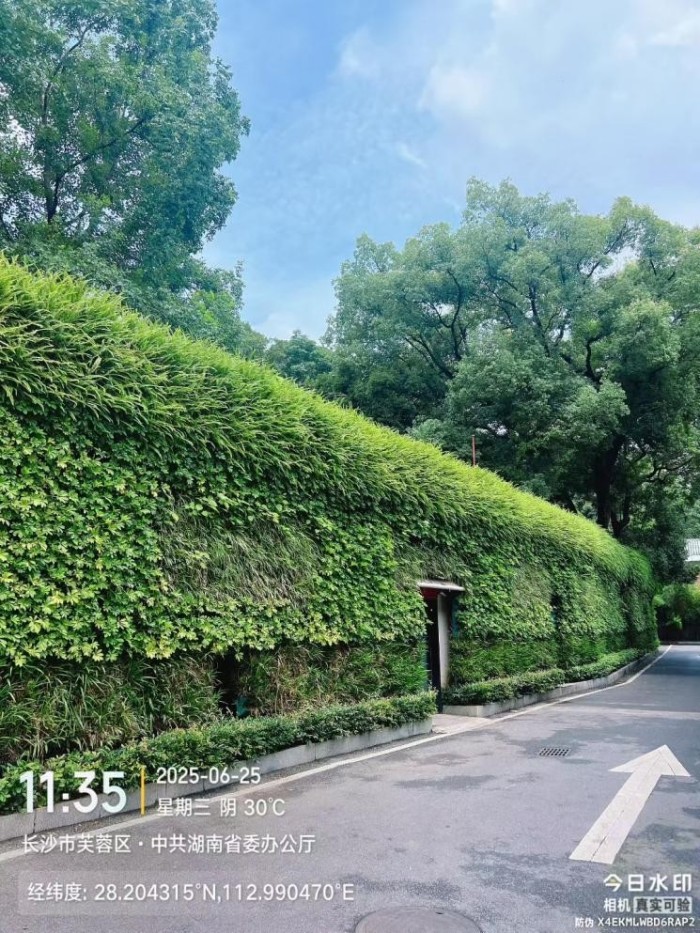 湖南草字頭生態環境建設有限公司,人造草坪假草皮,湖南雨水收集處理工藝