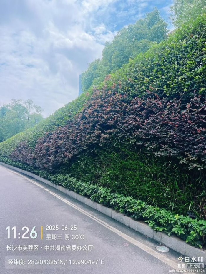 湖南草字頭生態環境建設有限公司,人造草坪假草皮,湖南雨水收集處理工藝